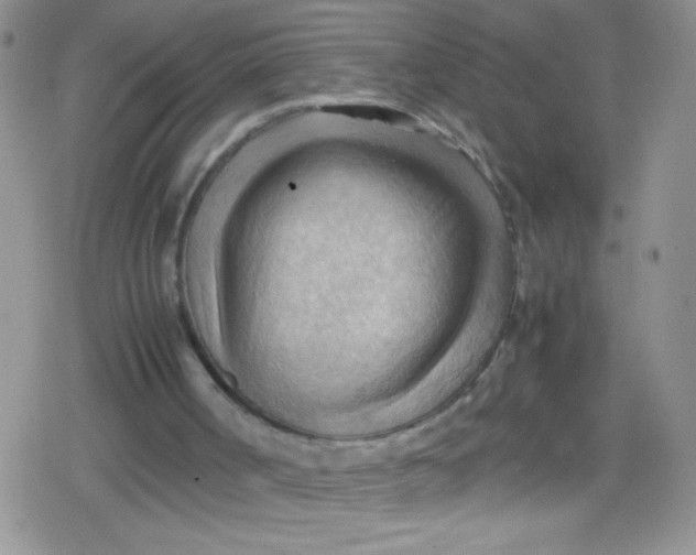 X0000079340002200612082036