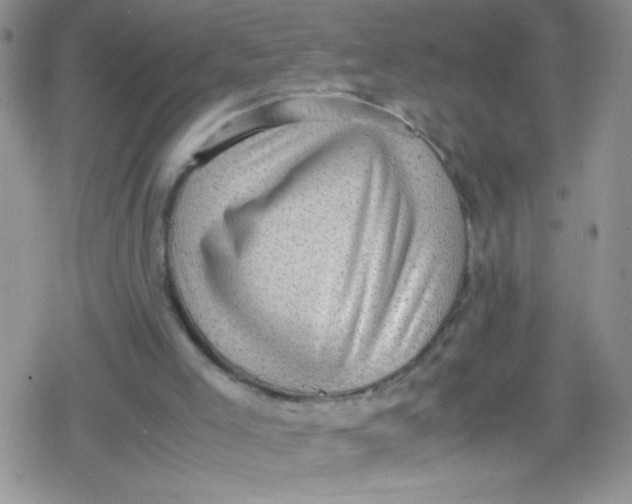 X0000079340005200612082036