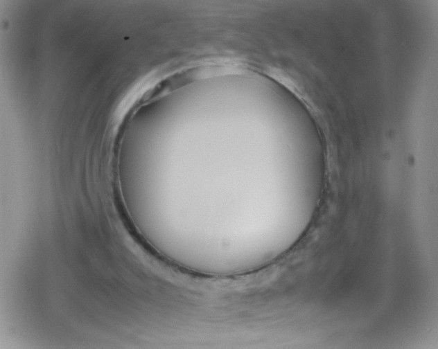 X0000079340007200612082036