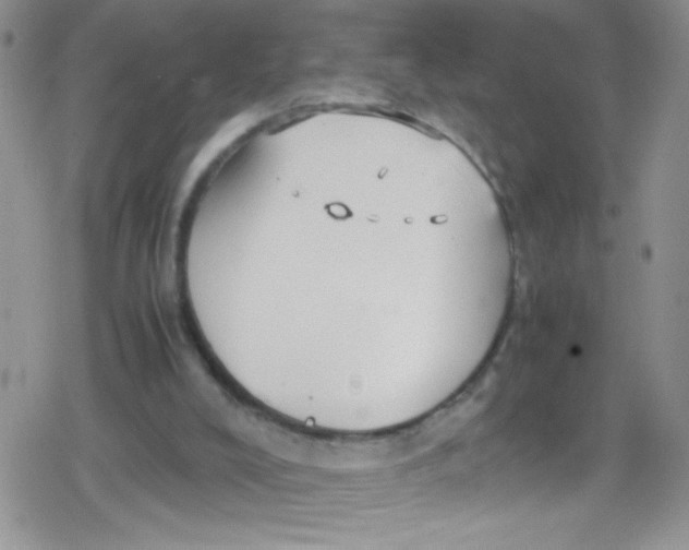 X0000079340008200612082036