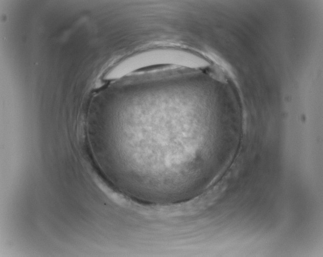 X0000079340009200612082036