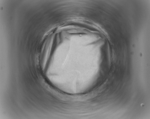 X0000079340010200612082036