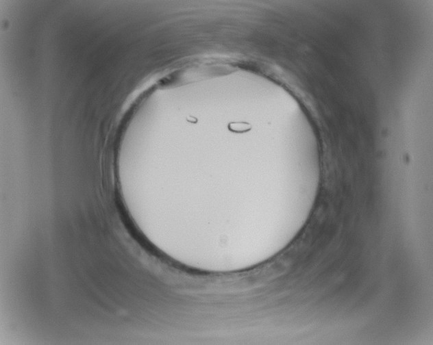 X0000079340011200612082036