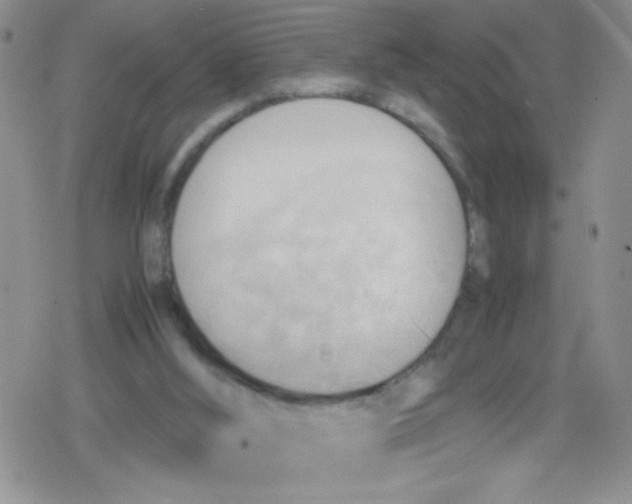 X0000079340012200612082036