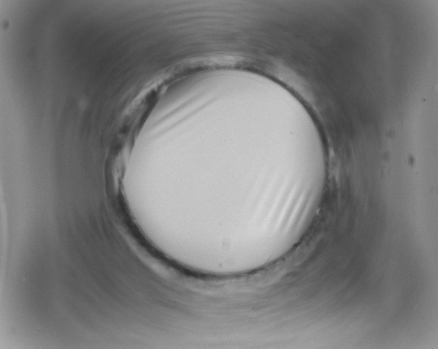 X0000079340013200612082036