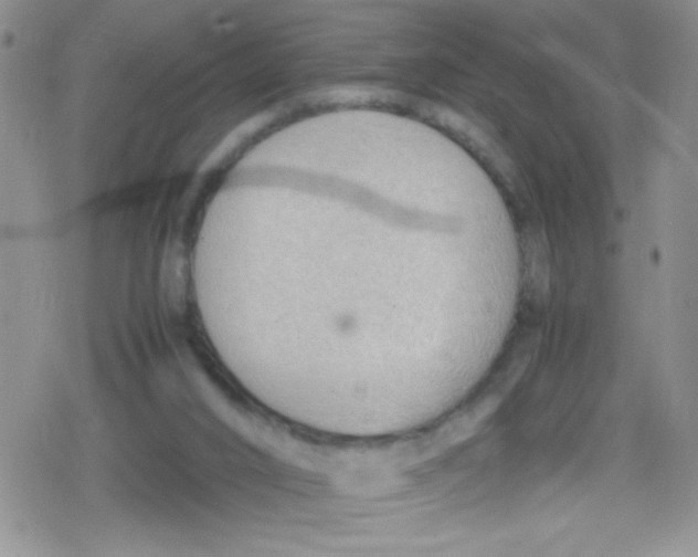 X0000079340016200612082036