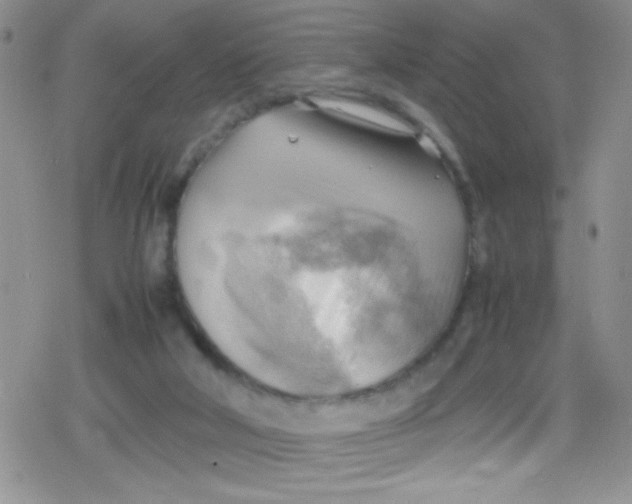 X0000079340018200612082036