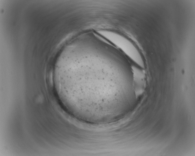 X0000079340019200612082035