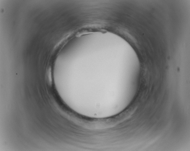 X0000079340020200612082035