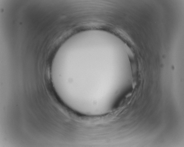 X0000079340021200612082035