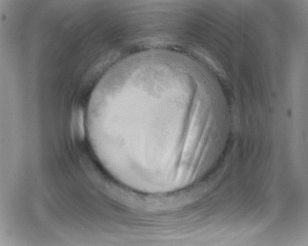 X0000079340022200612082035