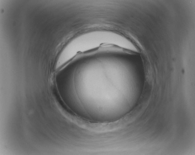 X0000079340023200612082035