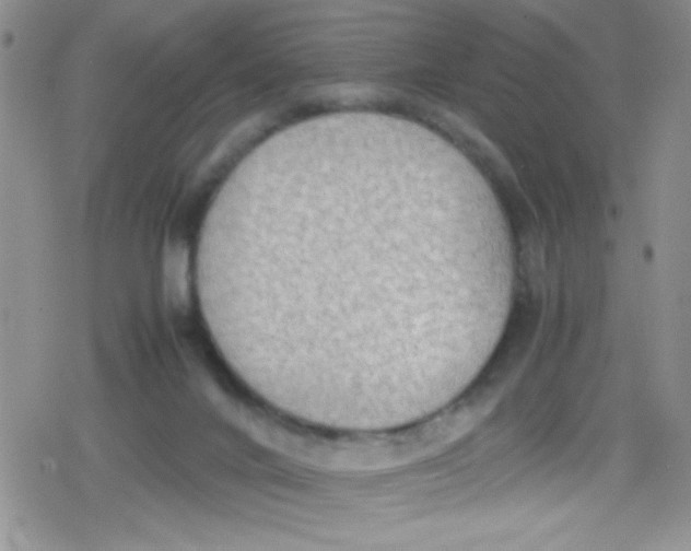 X0000079340024200612082035