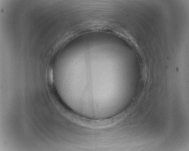 X0000079340027200612082035