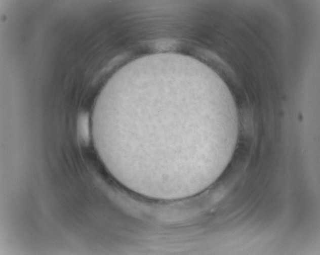 X0000079340028200612082035