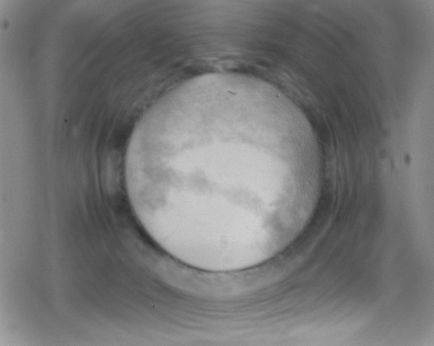 X0000079340030200612082035