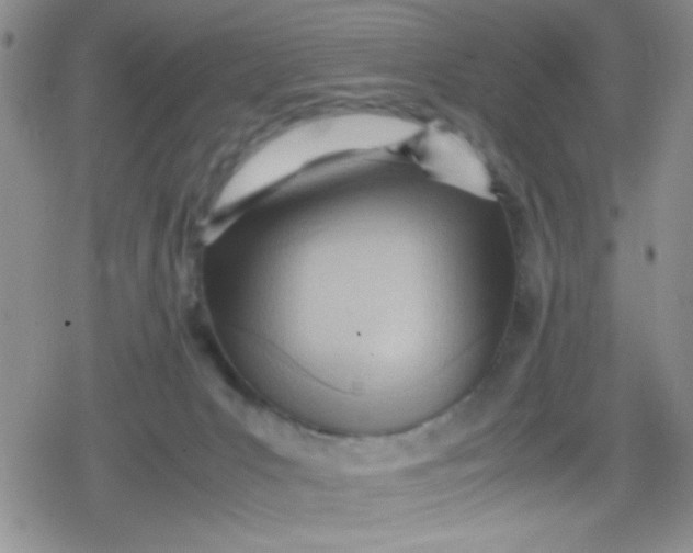 X0000079340031200612082035