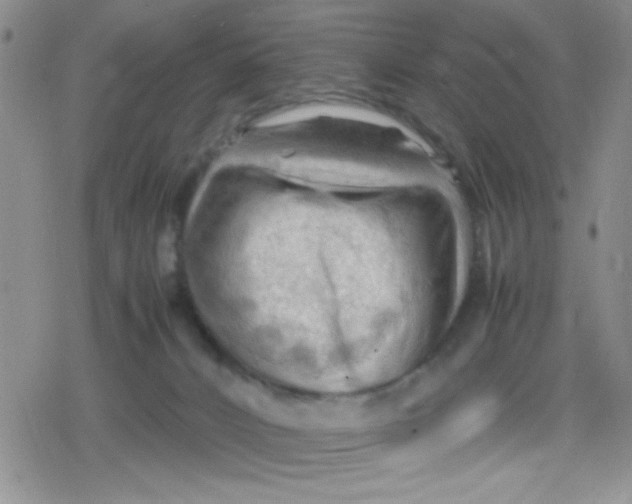 X0000079340032200612082035