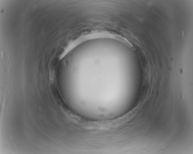 X0000079340033200612082035