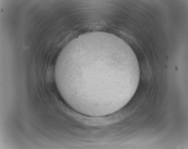 X0000079340034200612082035