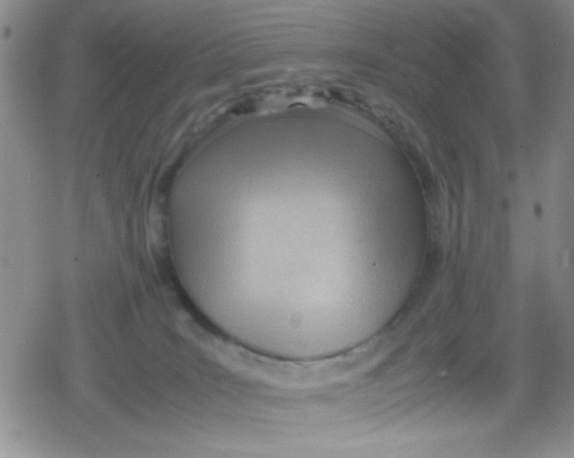 X0000079340035200612082035