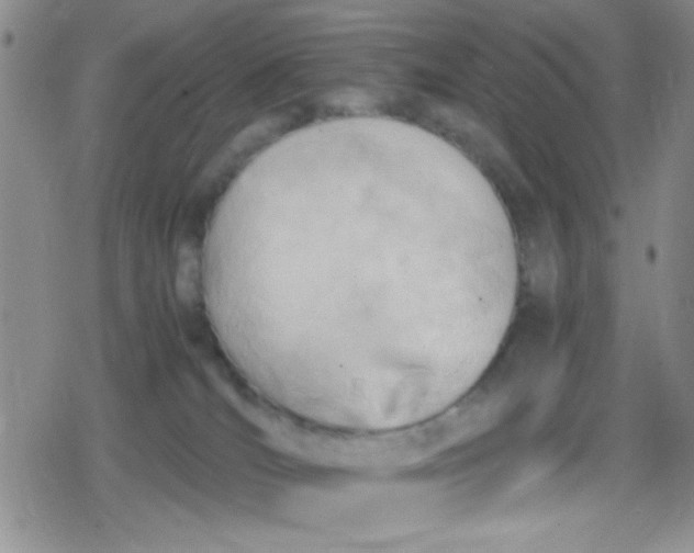 X0000079340036200612082035