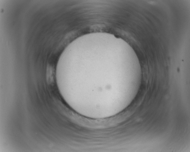 X0000079340038200612082035