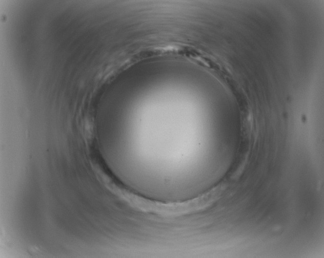 X0000079340039200612082035