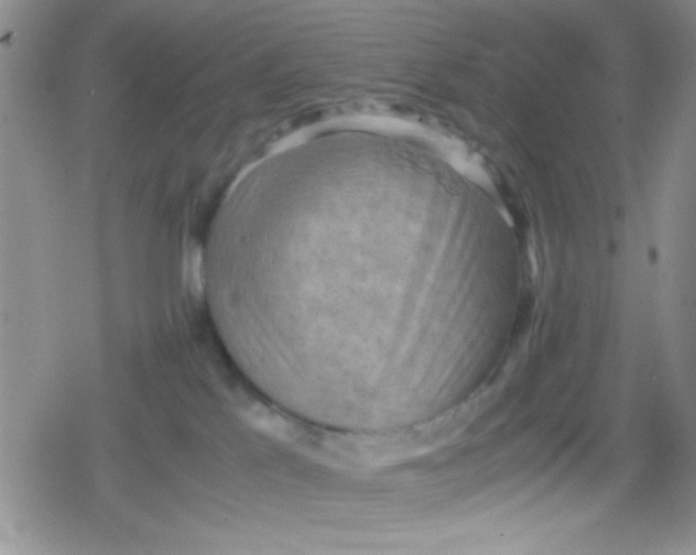 X0000079340041200612082035