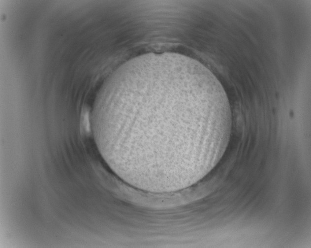 X0000079340042200612082035