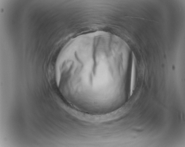 X0000079340043200612082035