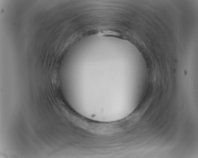 X0000079340044200612082035