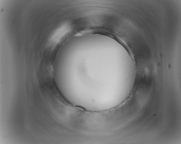 X0000079340045200612082035