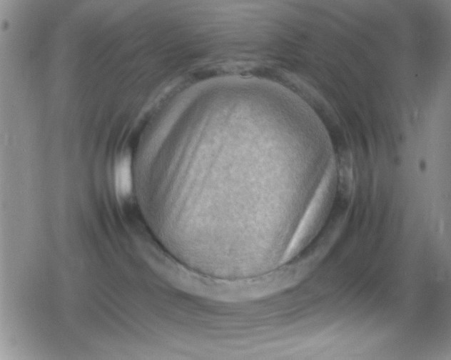 X0000079340046200612082035