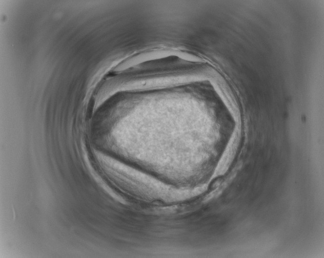 X0000079340049200612082034