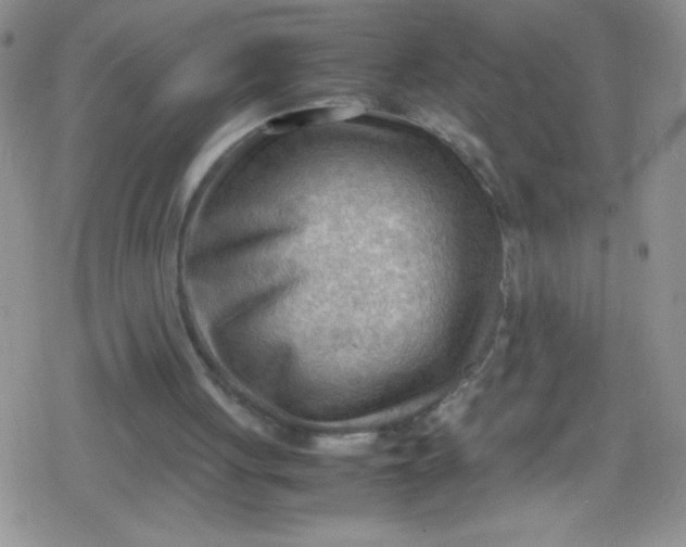 X0000079340051200612082034