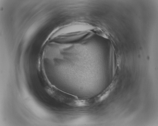 X0000079340052200612082034