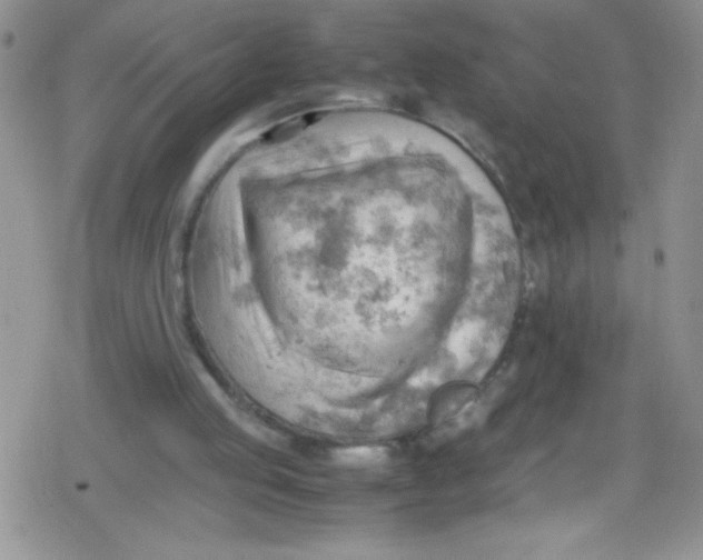 X0000079340053200612082034