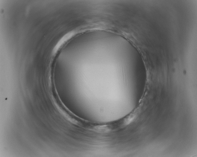 X0000079340054200612082034