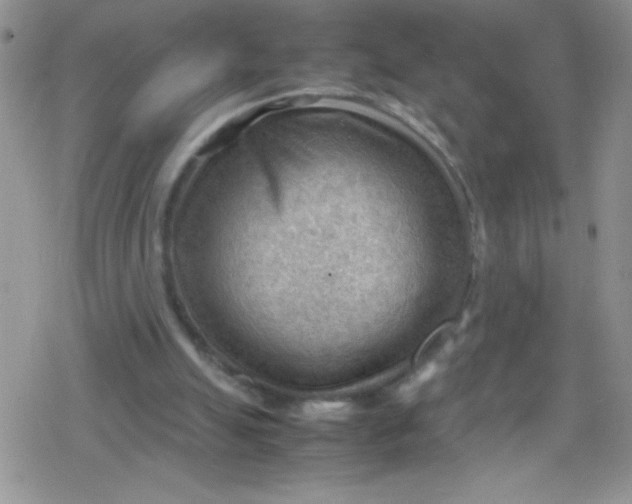 X0000079340055200612082034