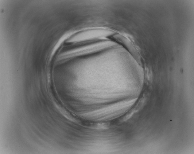 X0000079340056200612082034