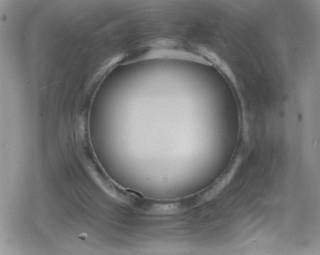 X0000079340057200612082034