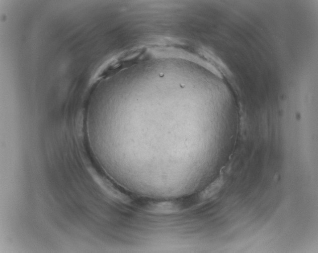 X0000079340058200612082034