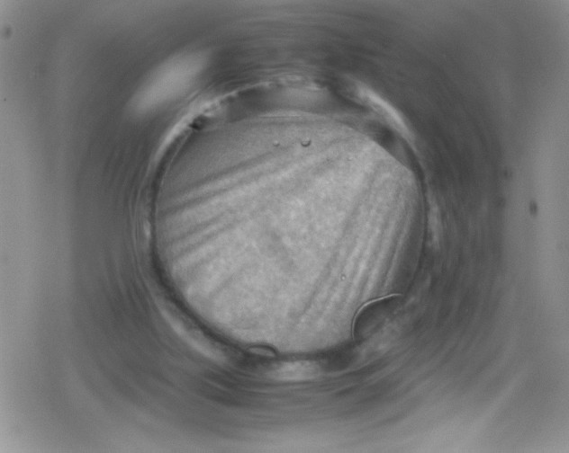 X0000079340059200612082034