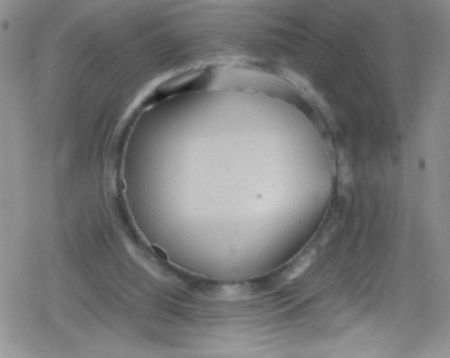 X0000079340060200612082034