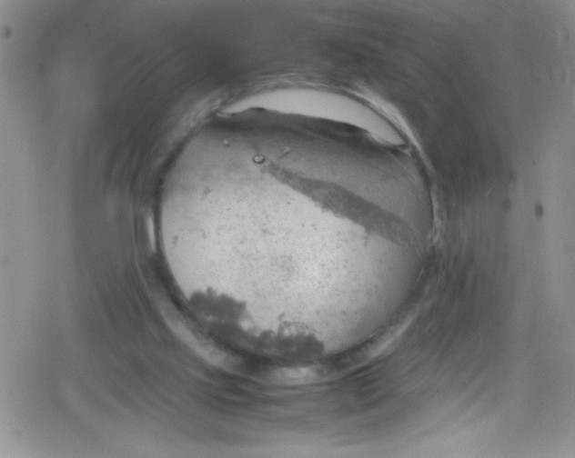 X0000079340061200612082034