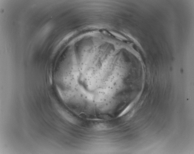 X0000079340062200612082034