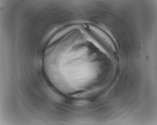 X0000079340063200612082034