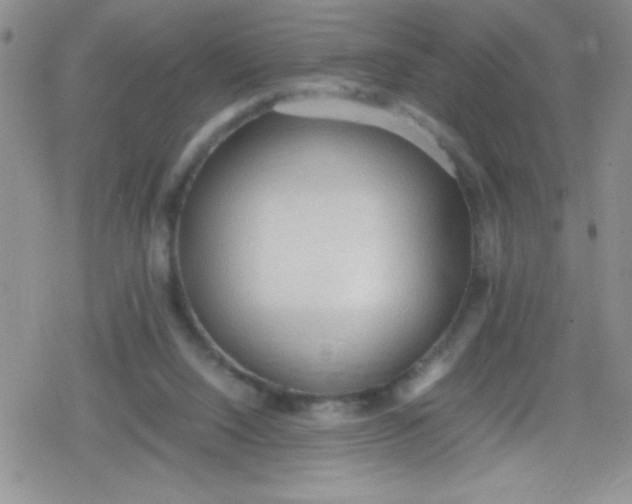 X0000079340064200612082034