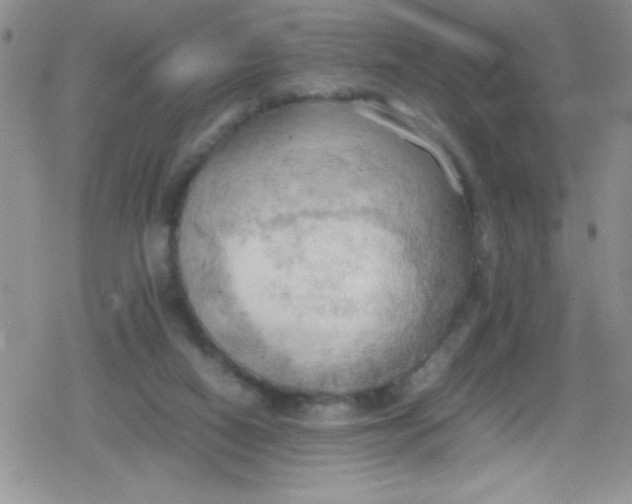 X0000079340066200612082035